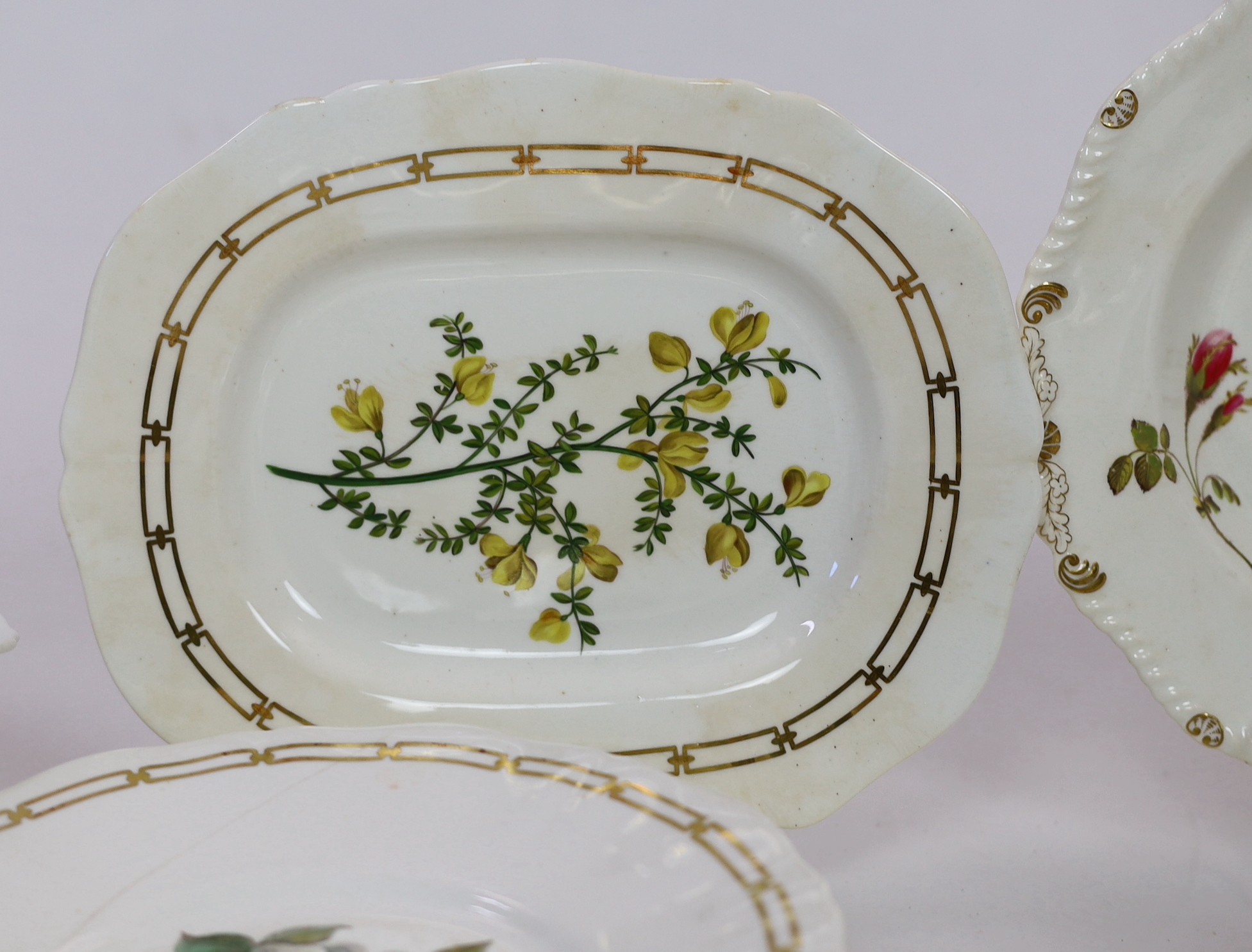 A rare Rockingham botanical specimen part breakfast service, griffin statant mark, c.1826, with some matching pieces, c.1830-5